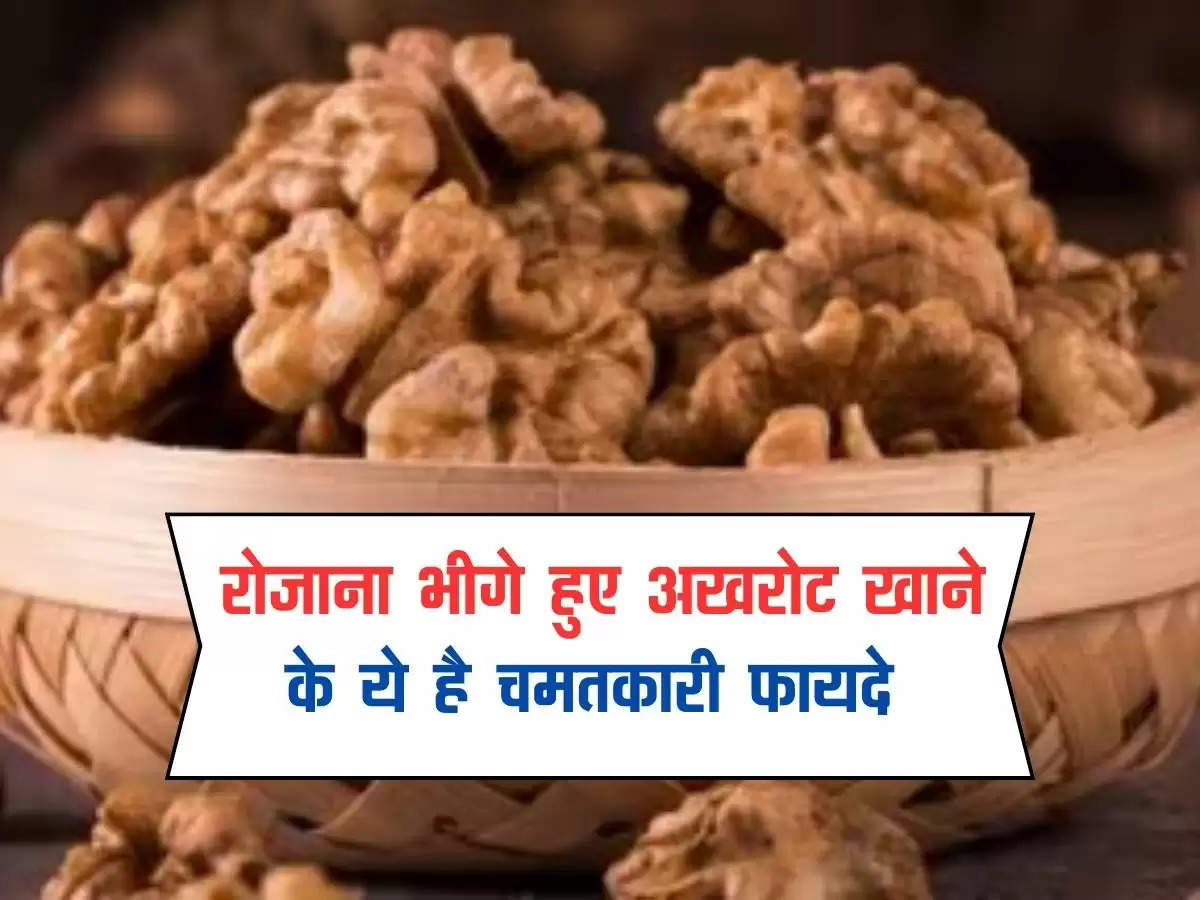 Soaked Walnuts : रोजाना भीगे हुए अखरोट खाने के ये है चमतकारी फायदे, जानें एक्सपर्ट की राय