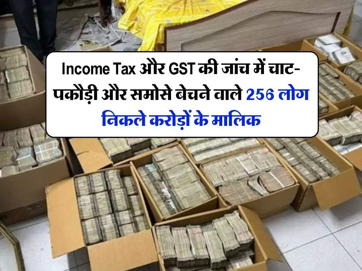 Income Tax और GST की जांच में चाट-पकौड़ी और समोसे बेचने वाले 256 लोग निकले करोड़ों के मालिक