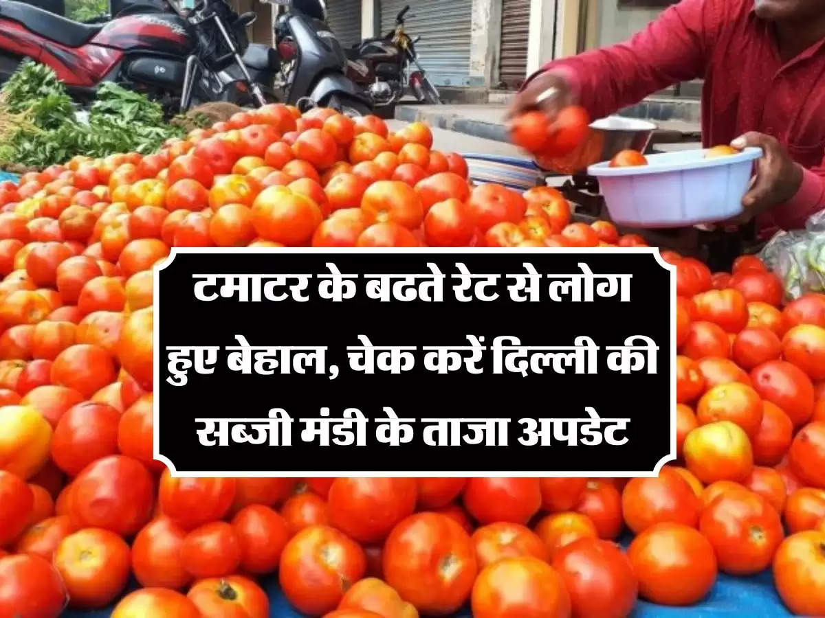 Tomato Price Hike: टमाटर के बढते रेट से लोग हुए बेहाल, चेक करें दिल्ली की सब्जी मंडी के ताजा अपडेट