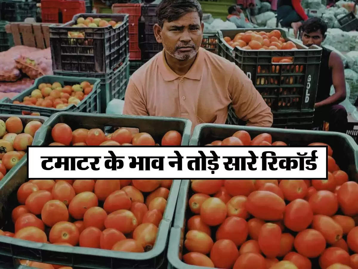 Tomato Price Hike: टमाटर के भाव ने तोड़े सारे रिकॉर्ड, अब सब्जी में डालना भूल जाएं, जानिये एक किलो के रेट