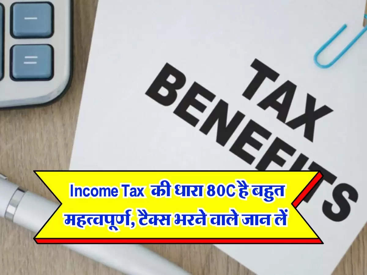 Income Tax  की धारा 80C है बहुत महत्वपूर्ण, टैक्स भरने वाले जान लें कैसे उठाएं इसका पूरा लाभ