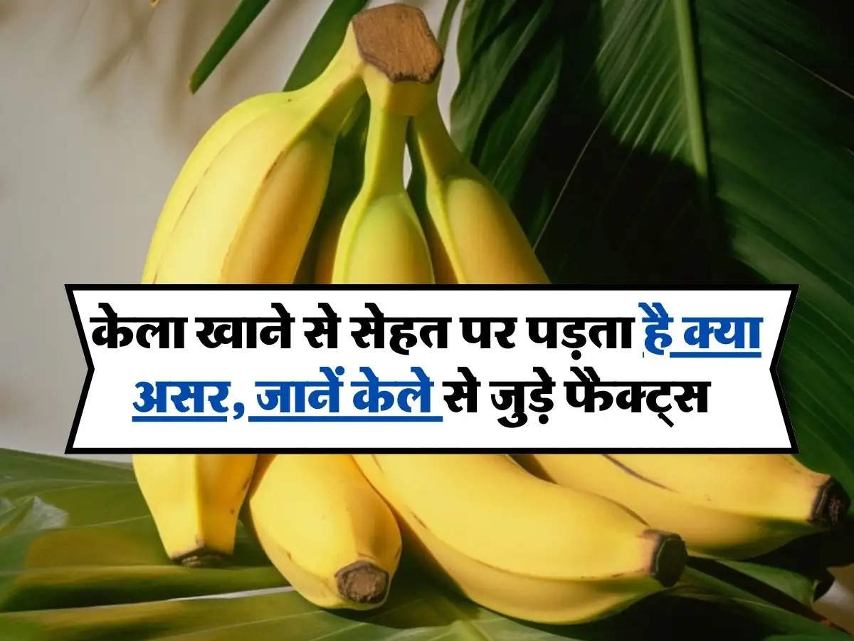 Banana Facts: केला खाने से सेहत पर पड़ता है क्या असर, जानें केले से जुड़े फैक्ट्स