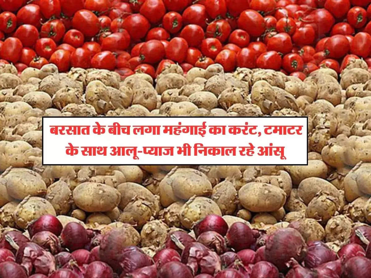 Tomato Price Today : बरसात के बीच लगा महंगाई का करंट, टमाटर के साथ आलू-प्याज भी निकाल रहे आंसू