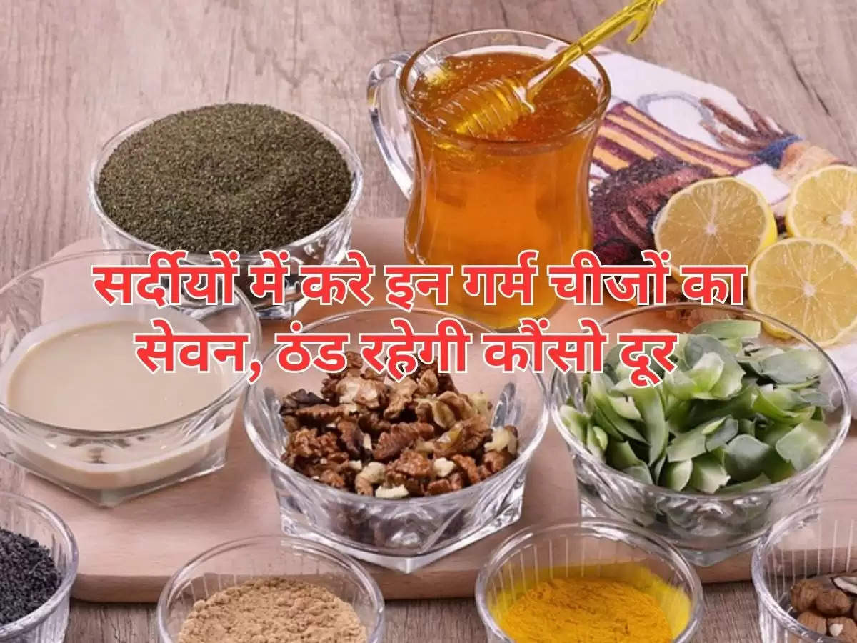 Winter Health Tips : सर्दीयों में करे इन गर्म चीजों का सेवन, ठंड रहेगी कौंसो दूर 