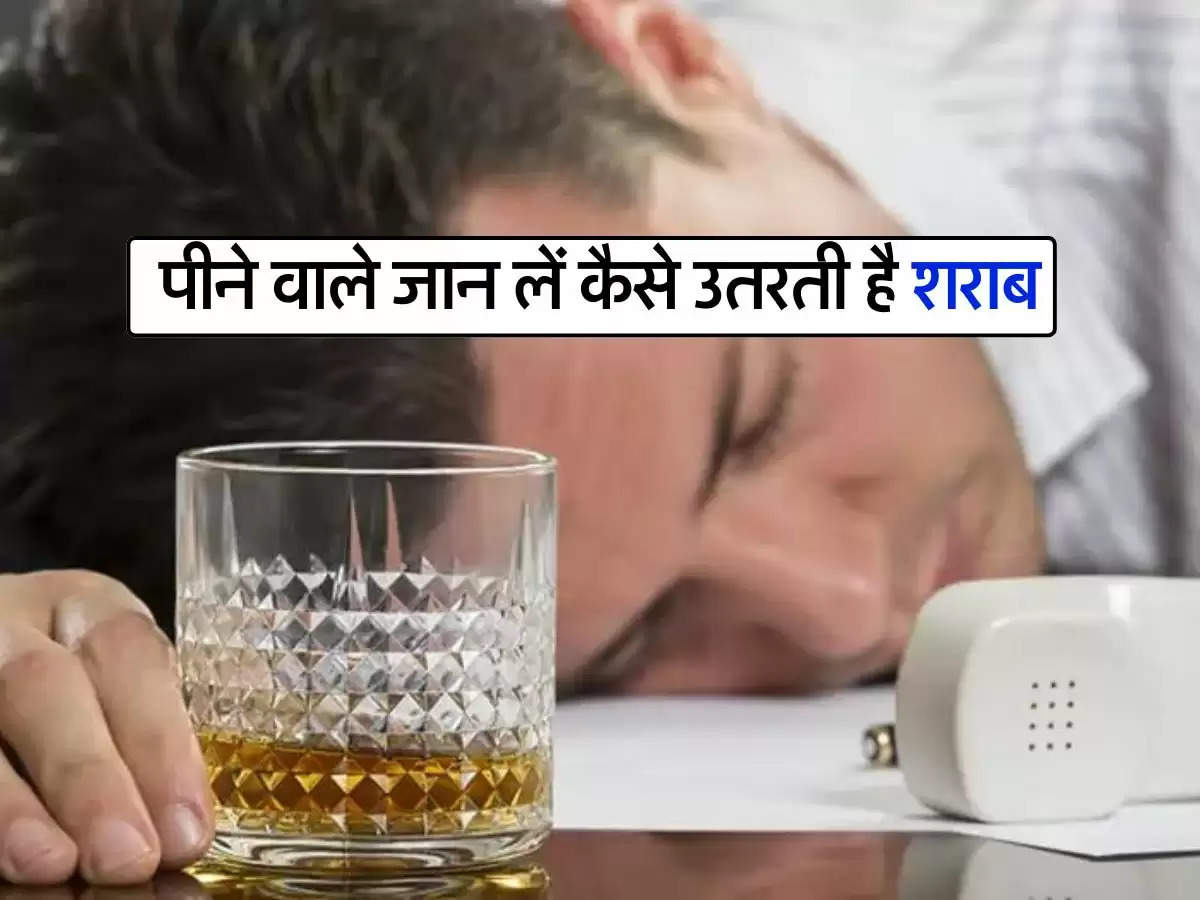 Wine Beer : पीने वाले जान लें कैसे उतरती है शराब, नहीं झेलनी पड़ेगी शर्मिंदगी