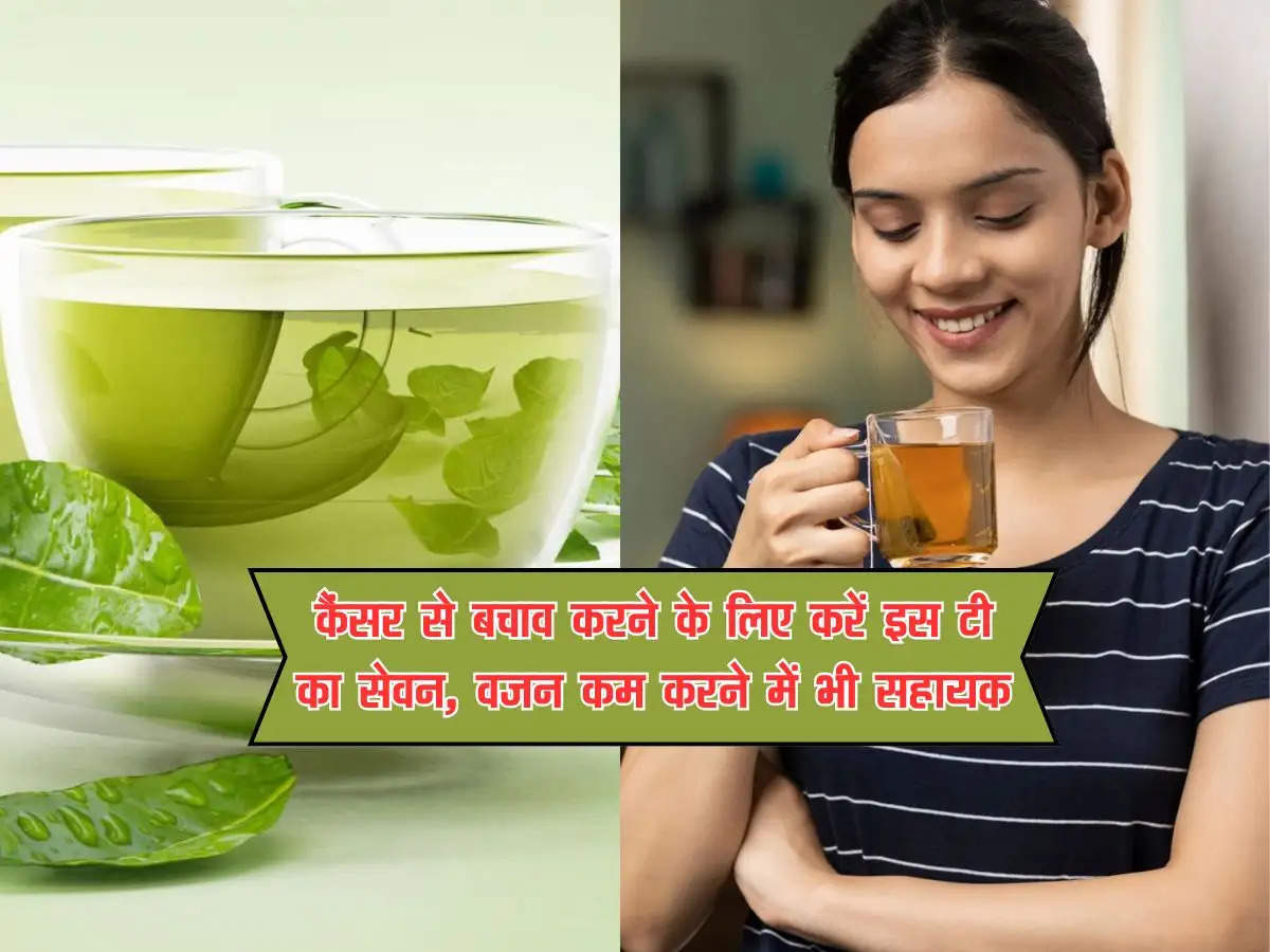 green tea benifites : कैंसर से बचाव करने के लिए करें इस टी का सेवन,  वजन कम करने में भी सहायक