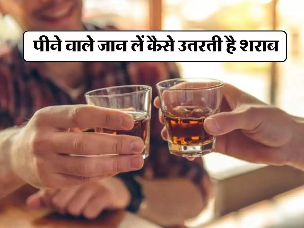 Wine Beer : पीने वाले जान लें कैसे उतरती है शराब, नहीं झेलनी पड़ेगी शर्मिंदगी