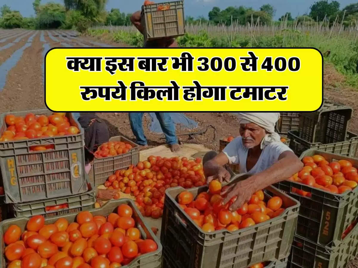 Tomato Price Hike : क्या इस बार भी 300 से 400 रुपये किलो होगा टमाटर, जानिए बड़ा अपडेट